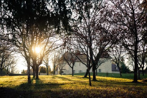 Spring, Day, Natural landscape, Garden, Garden view