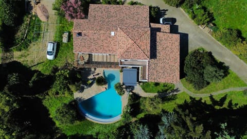Bird's eye view, Swimming pool