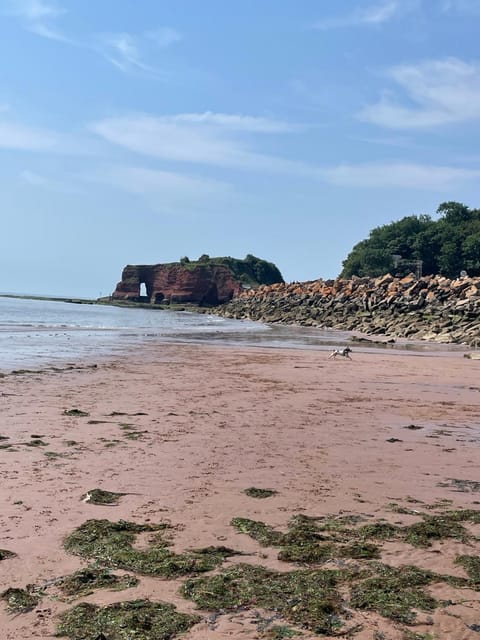 Florita - Dawlish House in Teignbridge