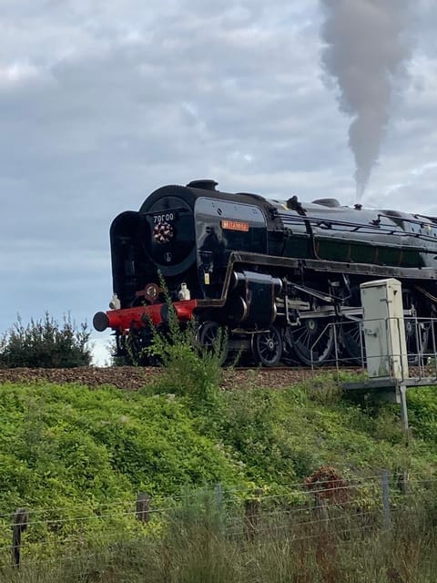 Florita - Dawlish House in Teignbridge