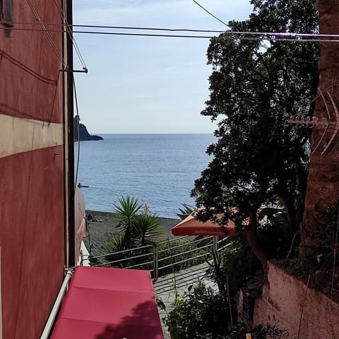 bilocale con il mare dentro Apartment in Bonassola