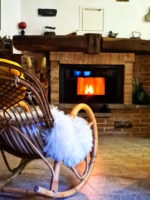 Living room, fireplace