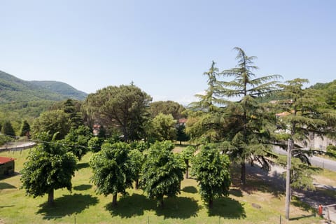 Natural landscape, Garden, View (from property/room), Garden view