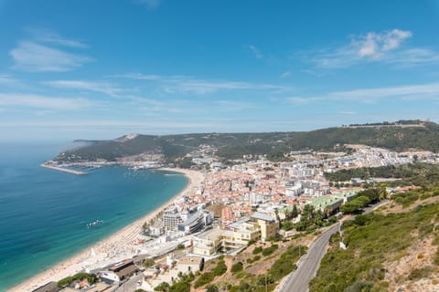 Natural landscape, City view, Street view