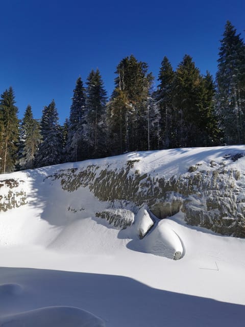 View (from property/room), Garden view, Mountain view