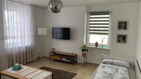 Grenznahe Ferienwohnung mit 4 Schlafzimmern Apartment in Canton of Basel City
