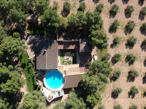 Bird's eye view, Pool view