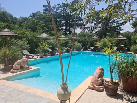 Pool view, Swimming pool, sunbed