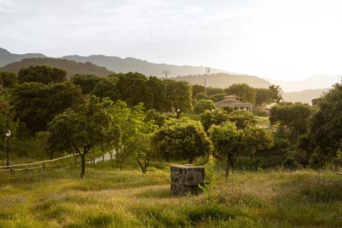 Property building, Spring, Off site, Natural landscape, Sunset