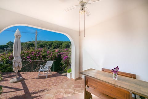 Patio, Balcony/Terrace