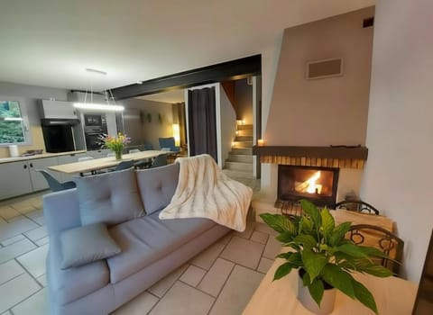 Kitchen or kitchenette, Living room, fireplace, stove