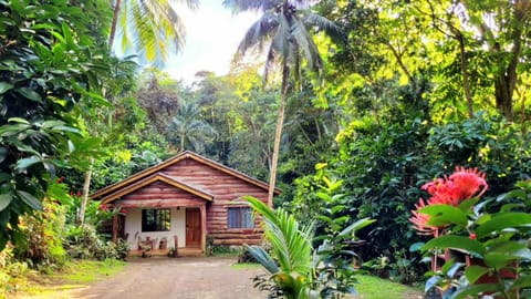 Property building, Day, Natural landscape, Garden, Garden view
