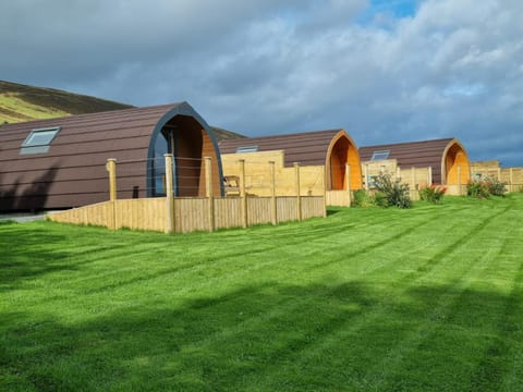 Lilly's Lodges Orkney Robin Lodge House in Scotland