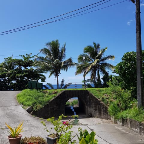 Sea view