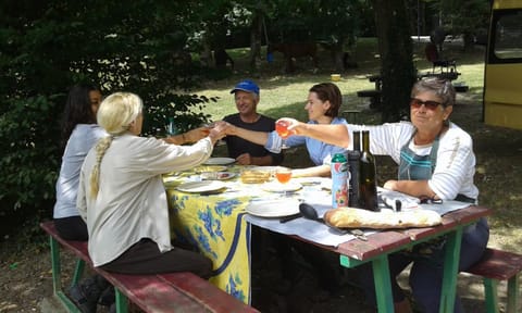 Day, People, group of guests