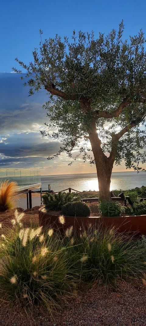 Villa-soleil-levant vue mer panoramique Villa in Sari-Solenzara