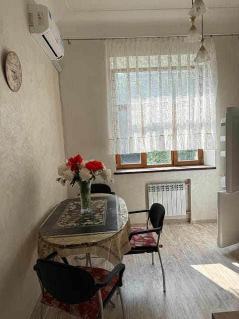 Kitchen or kitchenette, Dining area, air conditioner