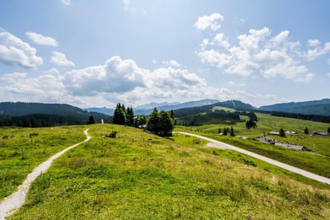 Natural landscape, Hiking, Mountain view