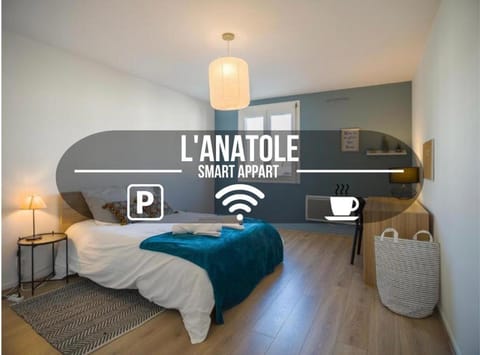 L'Anatole - Wifi - Parking - Centre ville Apartment in Troyes