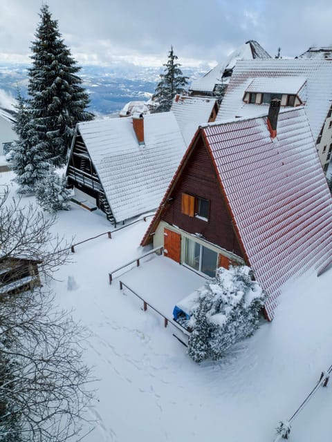 Winter, Garden view