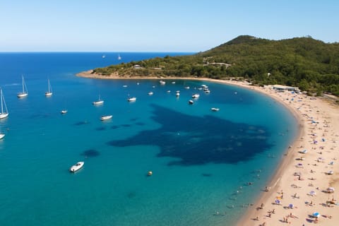 Bird's eye view, Beach