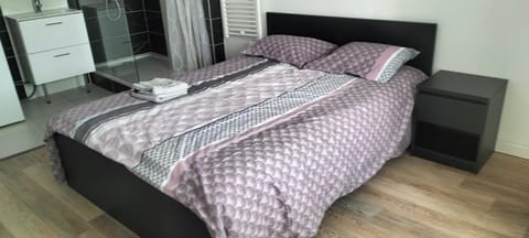 Appartement 2 pièces Apartment in Auvergne-Rhône-Alpes