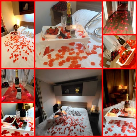 5 Geranium, Holiday Home in Oakdene Forest Park Nature lodge in East Dorset District