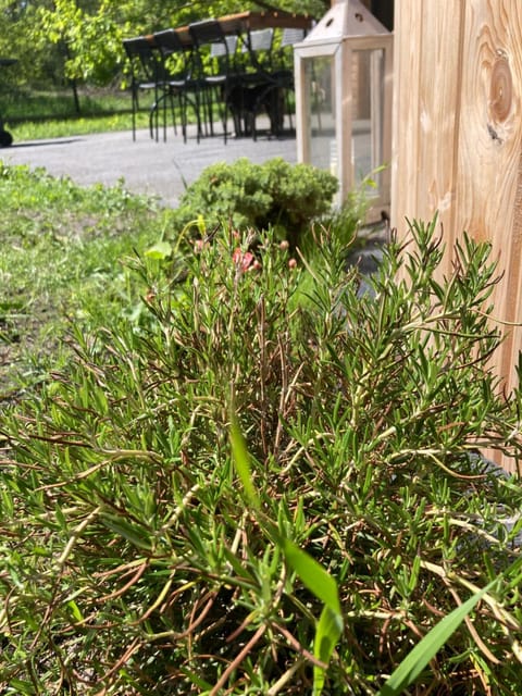 Domek z Jacuzzi House in West Pomeranian Voivodeship, Poland