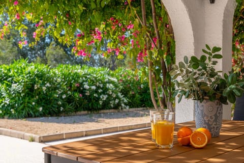 Day, Garden, Garden view