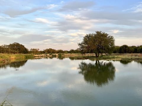 50 Acre Countryside Haven With Hiking Trails, Arcade & Pool House in Texas