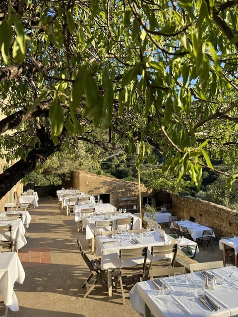 Patio, Restaurant/places to eat