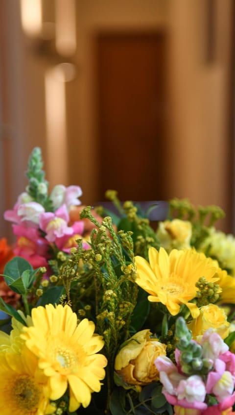 Cabriere Cottage House in Franschhoek