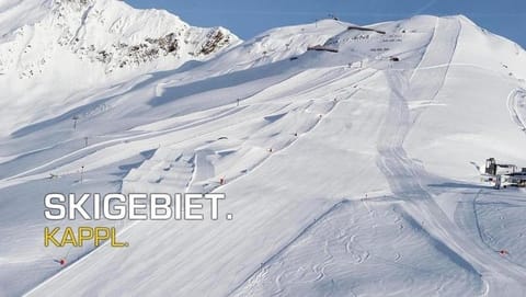 Natural landscape, Winter