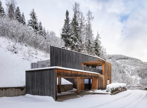 Natural landscape, Winter