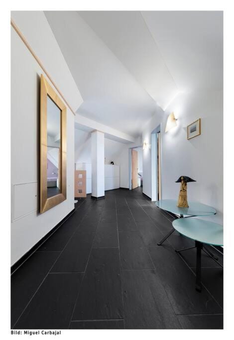 City, Lake and Luxury Apartment in Zurich City