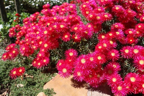 3 on Roux Bed and Breakfast in Franschhoek