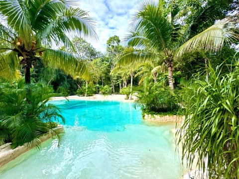 Garden view, Swimming pool