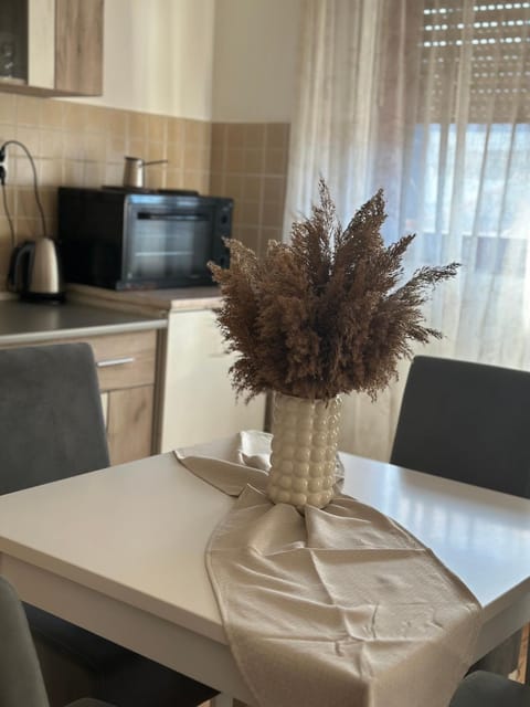 Lilyy Apartment in Serbia