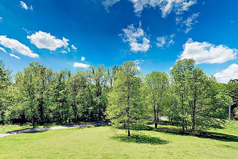 Mount Juliet Charmer House in Mount Juliet