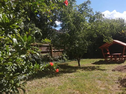 Garden, Garden