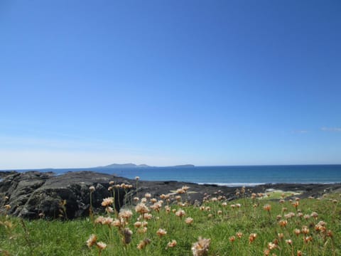 Neighbourhood, Natural landscape, Beach, Hiking, Sea view