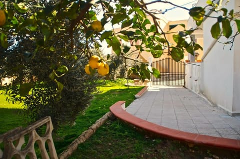 Property building, Day, Garden, Garden view