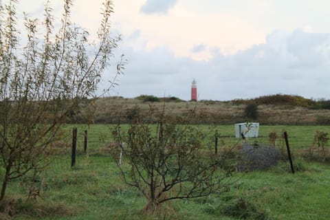 Natural landscape