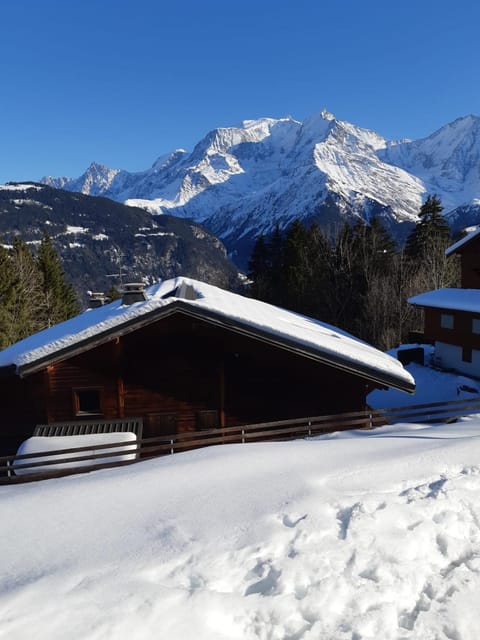 Apartment With View On The Mont Blanc Apartment in Saint-Gervais-Bains