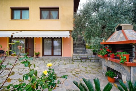 Olive's House House in Thasos