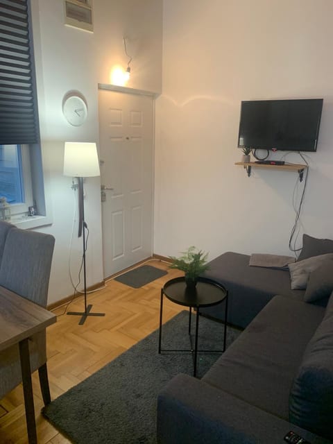 VILA MILETIĆ Apartment in Serbia