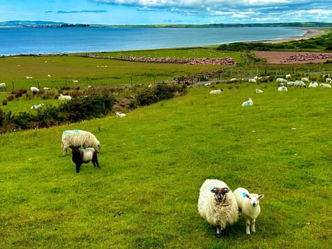 Railway Lodge Bed and Breakfast in County Kerry