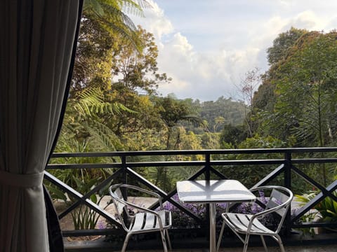 Day, Natural landscape, View (from property/room), Balcony/Terrace, Mountain view