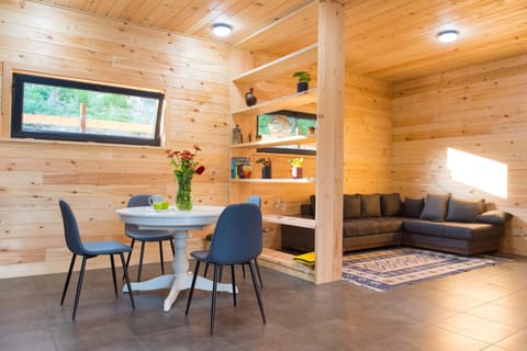 Kitchen or kitchenette, Living room, Dining area