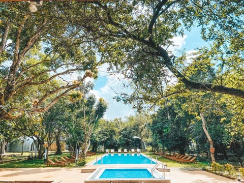 Swimming pool